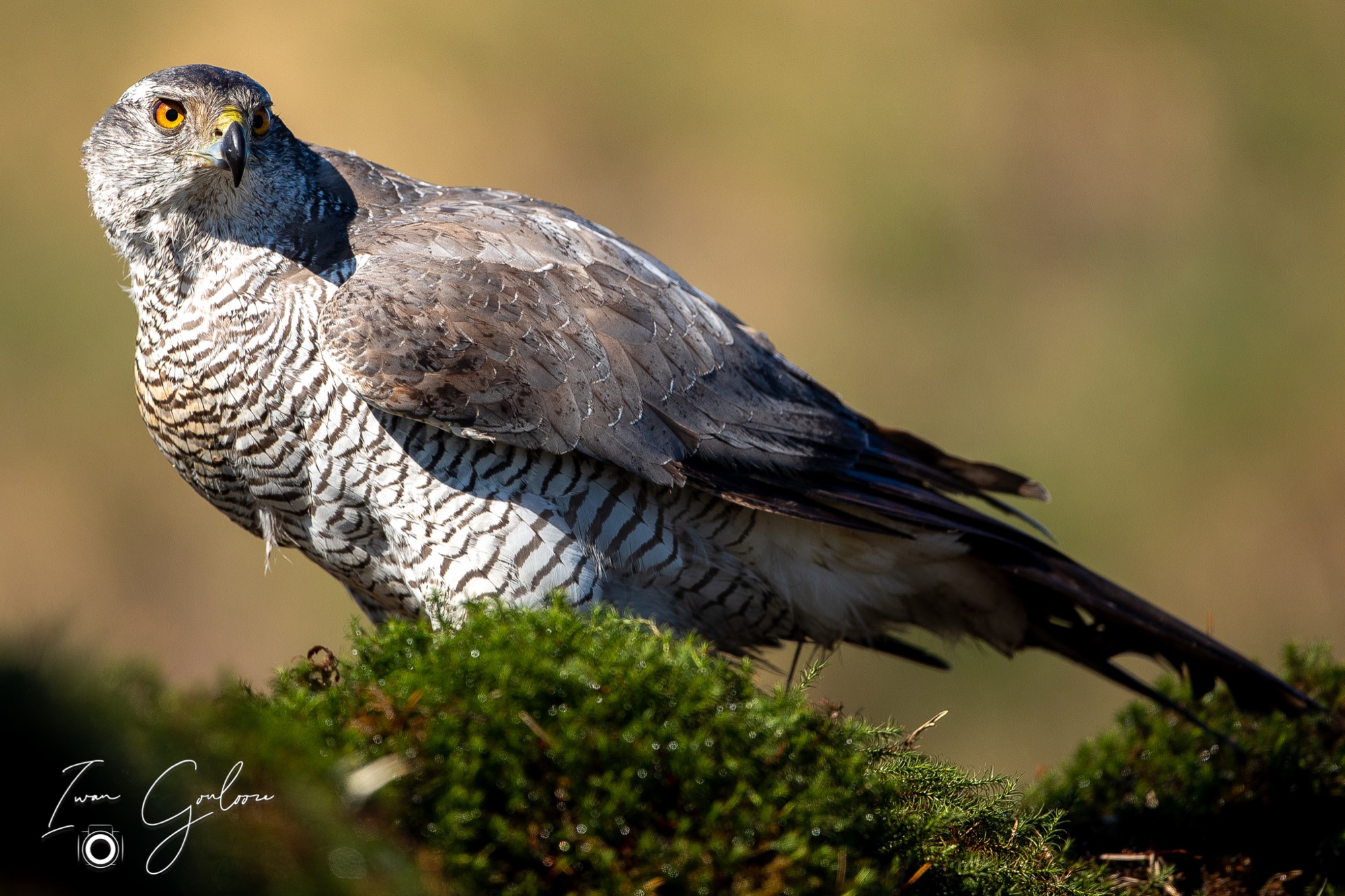 27 maart 2022 143725  5D44903